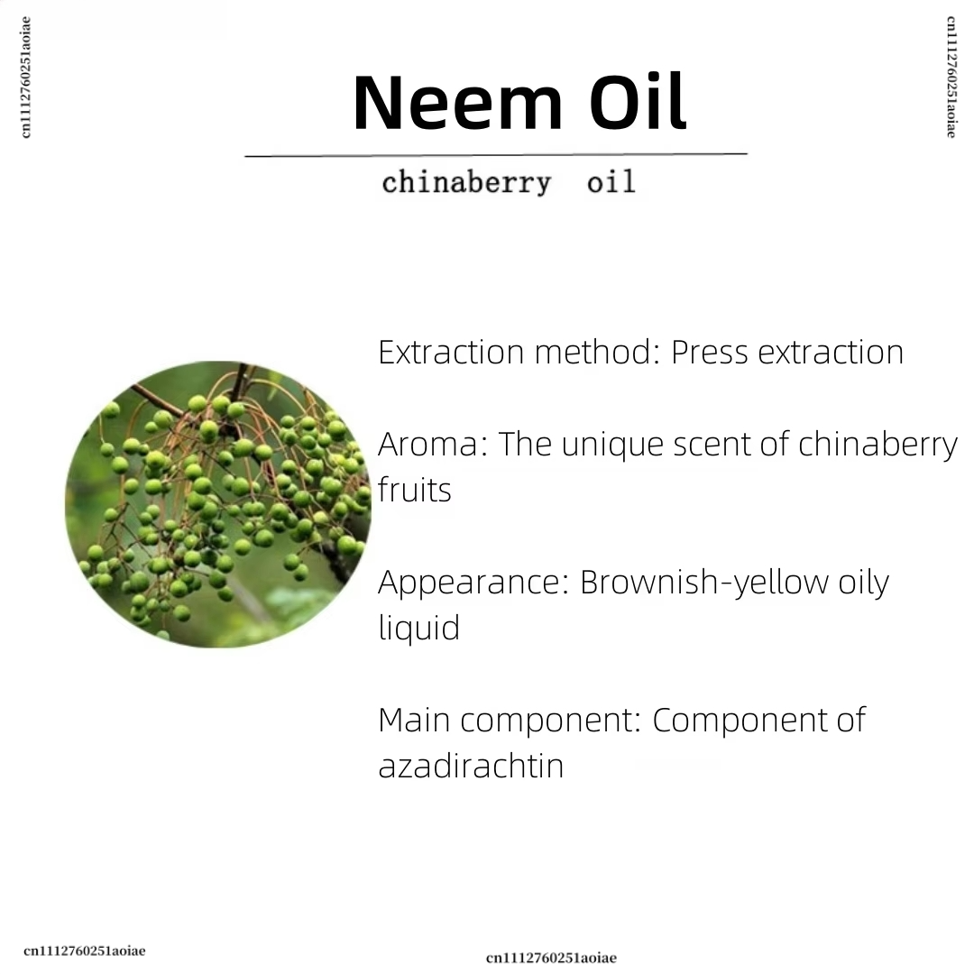Óleo de Neem Orgânico - Óleo d - Home Fragrance Incense avaliação e preço