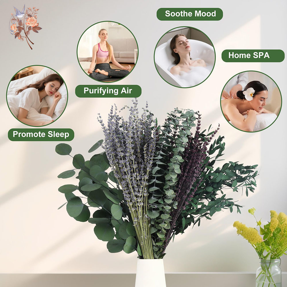 110 pçs mix folhas de eucalipt - Fragrance Your Home avaliação e preço